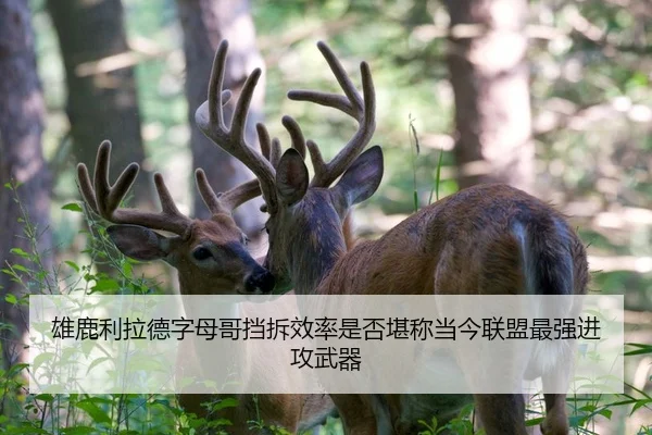 雄鹿利拉德字母哥挡拆效率是否堪称当今联盟最强进攻武器
